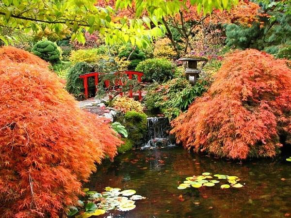 גן יפני ערוגות פרחים בצבע גשר אדום