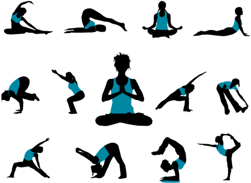 Varietà di Hatha yoga