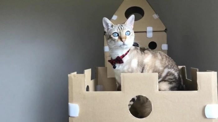 בנה בית לחתולים בעצמך רהיטים מקרטון בית חתולים מקצוות קרטון