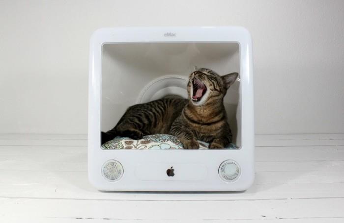 בנה רהיטי קרטון משלך לחתול קרטון ריהוט בית לחתול רעיונות לאופניים I-bed