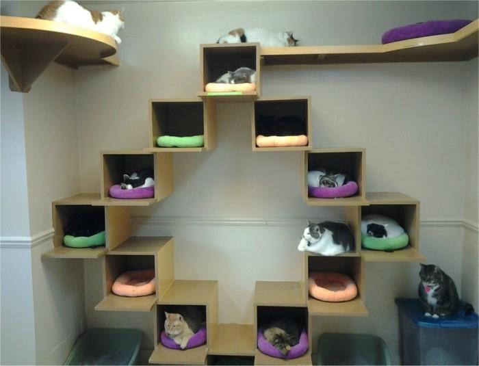 בנה רהיטי קרטון משלך בית חתולים העשוי מדרגות קרטון