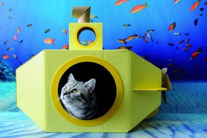 בנה רהיטי בית חתולים משלך קרטון בית חתולים מתחת למים