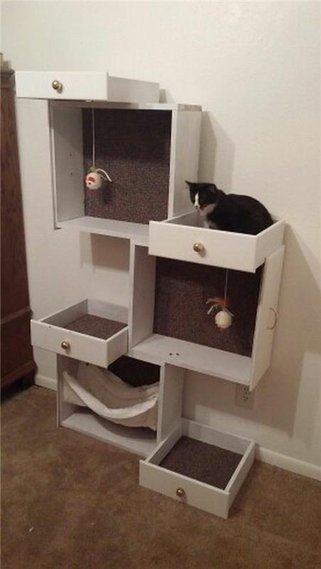 בנה בית לחתול משלך מבית מגורים