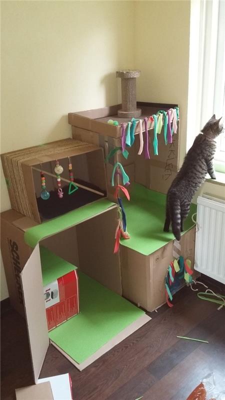 בנה רהיטי קרטון משלך לחתול בית חתולים רעיונות לאופניים