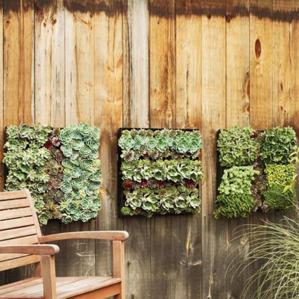 עיצוב מרפסת קטנה צמחי קישוט לקיר רעיון לחסוך מקום