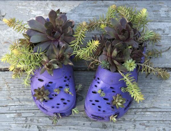 רעיונות למיחזור גומי יצירתיים נעליים סגולות ישנות המשמשות כעציצים