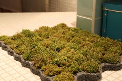 שטיח אמבטיה חי ירוק מקורי יוצא דופן