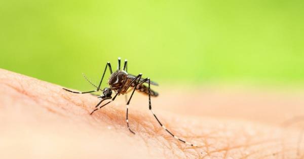 להדוף יתושים לטפל בעקיצות