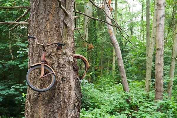אדם וטבע תמונות אדמה וטבע אנושי אופני עץ