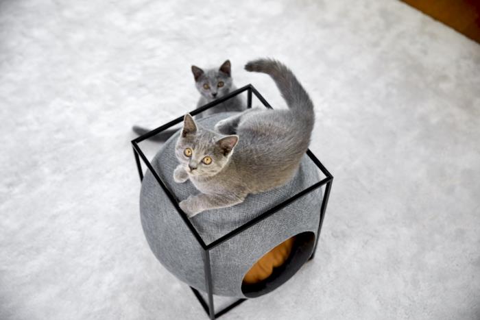meyou חתול רהיטים חתולים ביתיים במשחק
