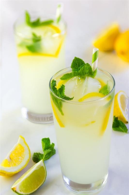 מתכון להרוות צמא לימון מנטה