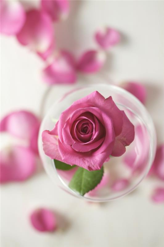 קוסמטיקה טבעית ורדים מי ניחוח DM ניחוח ורדים