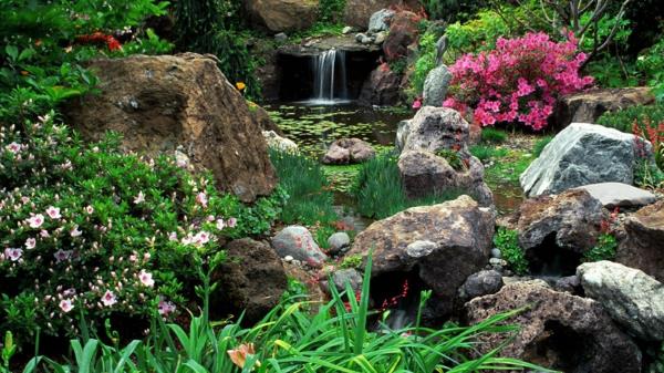 אבנים טבעיות בריכת גן בריכת צמחי מים מפל מים