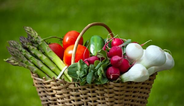 תפריט חג הפסחא-מתכונים-ירקות אביב-מתכונים לאוכל פסחא