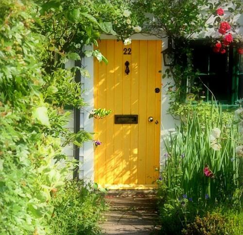 צמחים אביב רעננות עץ דלת כניסה צהובה פועמת