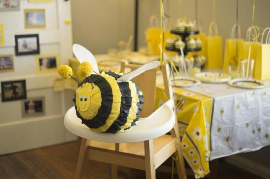 פינקה דבורים ליום הולדת לילדים