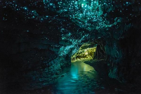 כוכב הלכת כדור הארץ Waitomo מערות זוהר ניו זילנד
