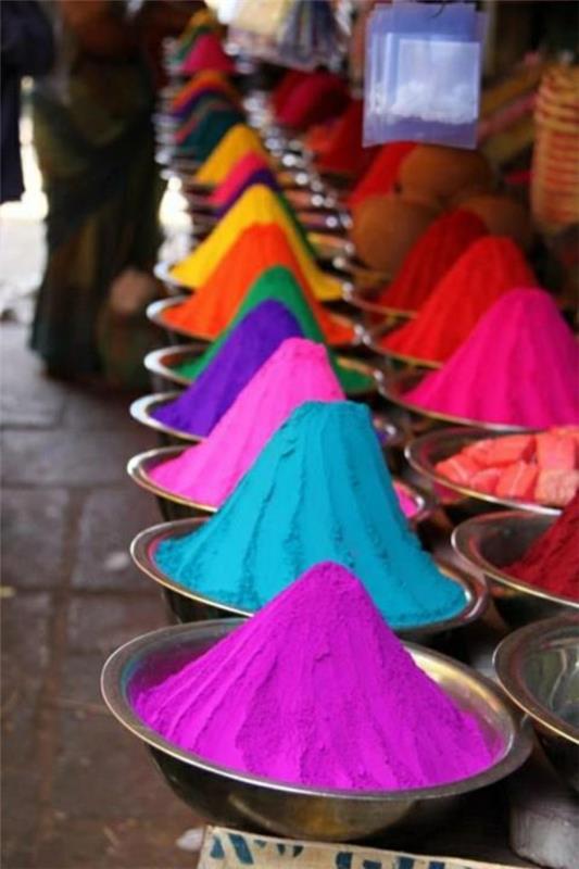 נסיעה לפסטיבל הצבעים של הודו