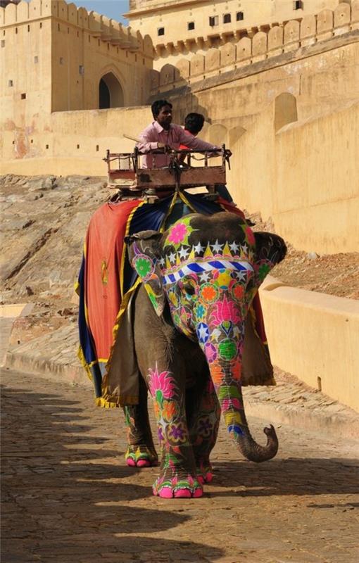 נסיעה להודו פיל בתרבות הודית