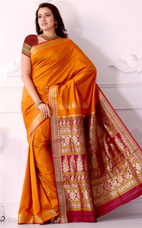 טיול להודו שמלת התרבות ההודית traditon saree sari