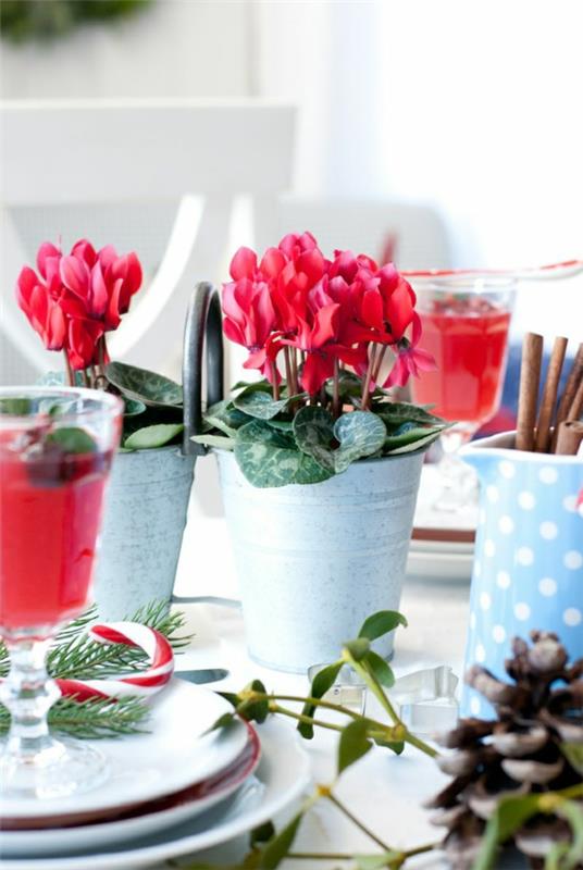 אדום קישוט שולחן רקפת פרחים צמחים בתוך הבית