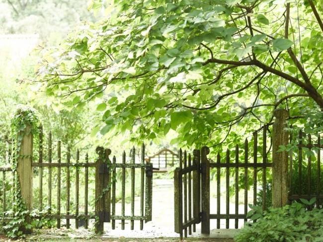 שער גן כפרי עץ ירוק ישן