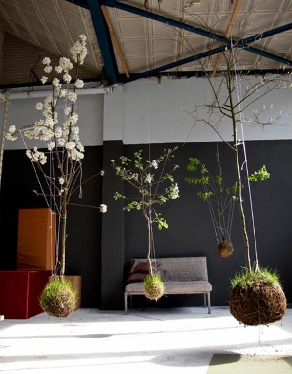 צמחים פנימיים רעיונות לגינה תמונות לגינה קישוטים למרפסת