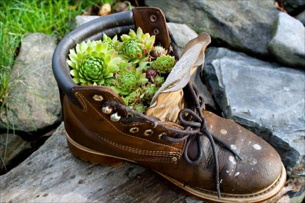 רעיונות לגינה עסיסיים תמונות גינה נעליים קישוטים לגינה
