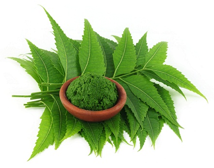 Rimedio casalingo di foglie di neem per una pelle perfetta