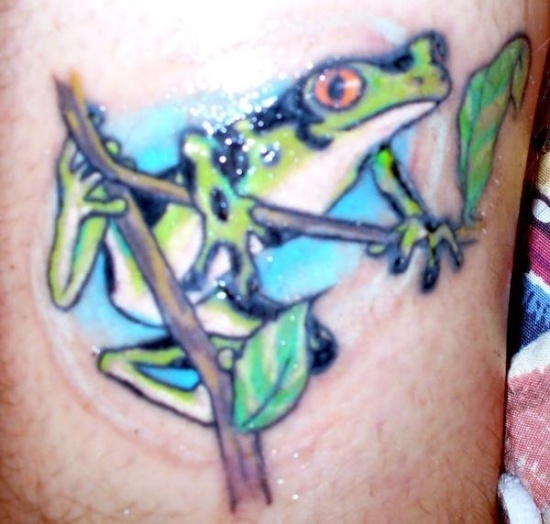 Disegno del tatuaggio della rana cinese