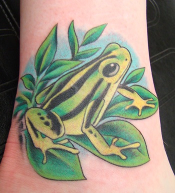 Design unico del tatuaggio della rana a colori