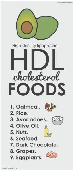 Alimenti per colesterolo HDL