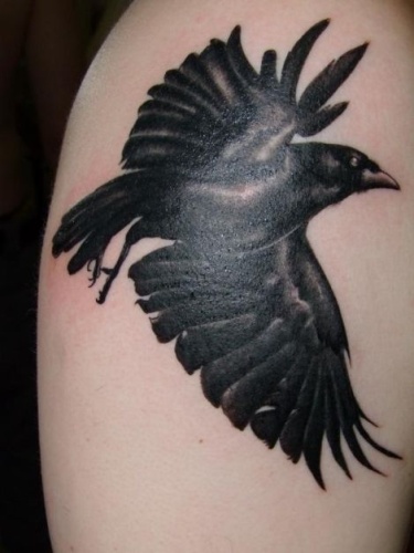 Diseño de tatuaje de cuervo en el hombro
