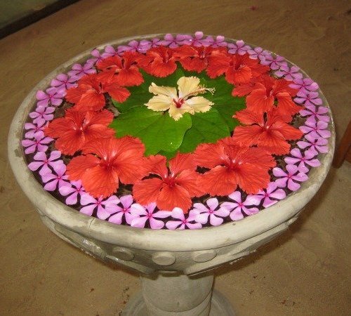 Disegni speciali Rangoli Rangoli con fiori e acqua