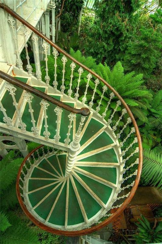 מדרגות מעצבות שתילה ספירלית ירוקה