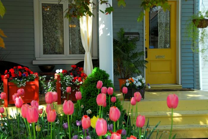 צבעוני עיצוב בגינה יוצרים פרחים דלת כניסה צהובה