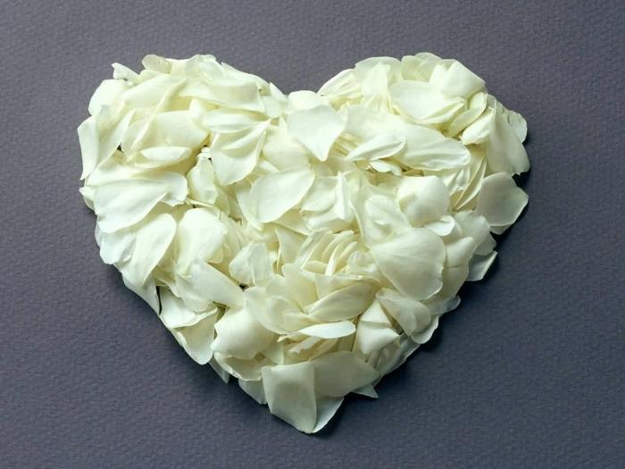 עיטור לב ורד לבן תמימות רומנטית