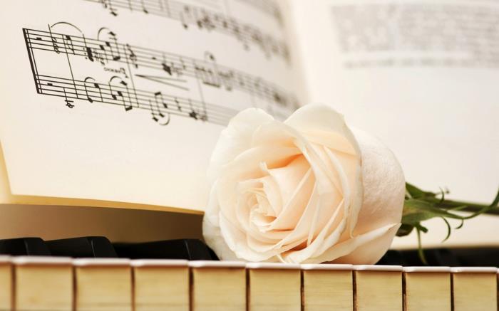 מוסיקה ורדים לבנים אמנות רומנטית
