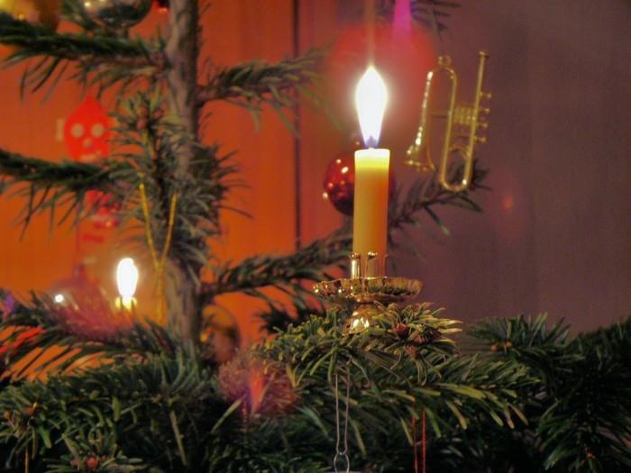 טינקר קישוטי חג המולד עם חומרים טבעיים עוגיות חג המולד רפלקס אור