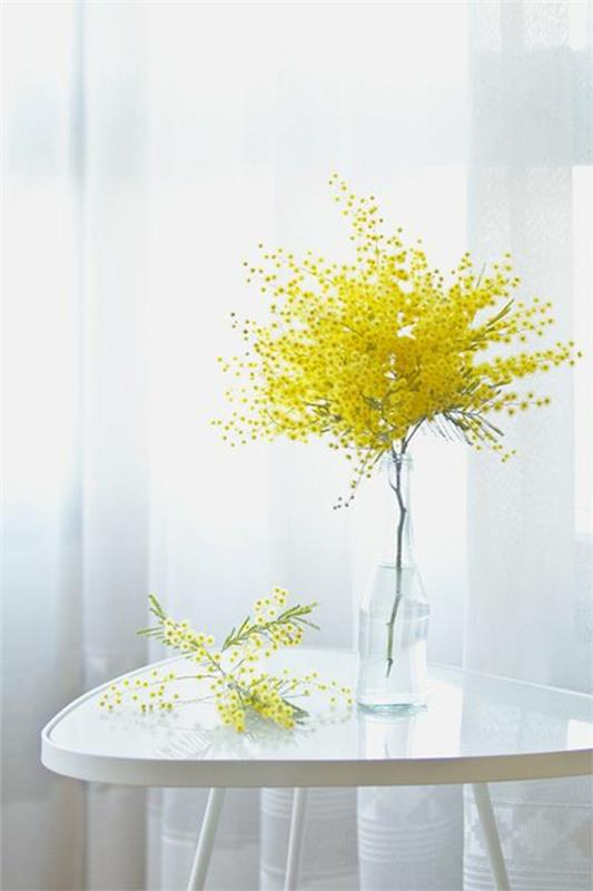 צמחים פנימיים קישוט שולחן קישוט אגרטל פרחים מימוזה